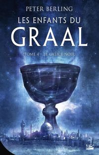 Produktbild: Les enfants du Graal