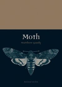 Produktbild: Gandy, M: Moth