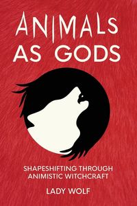 Produktbild: Animals as Gods