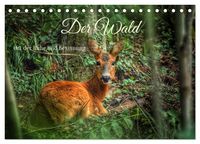 Produktbild: Der Wald - Ort der Ruhe und Besinnung (Tischkalender 2026 DIN A5 quer), CALVENDO Monatskalender