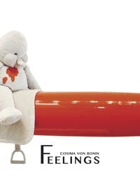 Produktbild: Cosima von Bonin. feelings