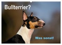 Produktbild: Bullterrier? Was sonst! (Wandkalender 2027 DIN A2 quer), CALVENDO Monatskalender