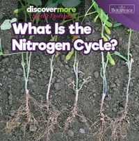 Produktbild: What Is the Nitrogen Cycle?