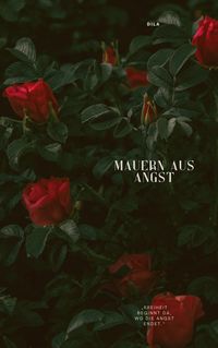 Produktbild: Mauern aus Angst
