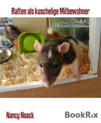 Produktbild: Ratten als kuschelige Mitbewohner