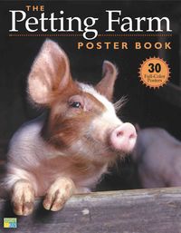 Produktbild: Petting Farm Poster Bk