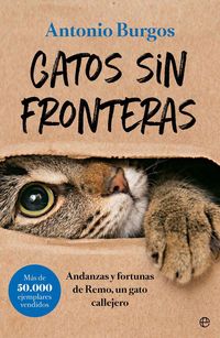 Produktbild: Gatos sin fronteras : andanzas y fortunas de Remo, un gato callejero