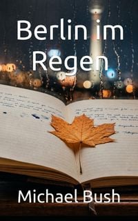 Produktbild: Berlin im Regen