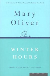 Produktbild: Winter Hours