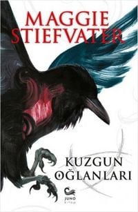 Produktbild: Kuzgun Oglanlari