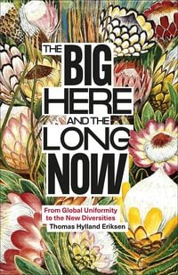 Produktbild: The Big Here and the Long Now