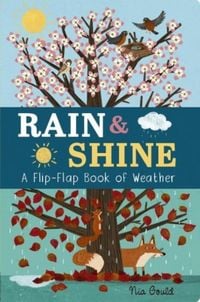 Produktbild: Rain & Shine: A Flip-Flap Book of Weather