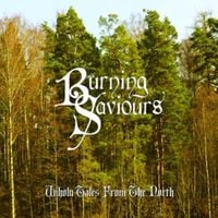 Produktbild: Burning Saviours: Unholy Tales From The North