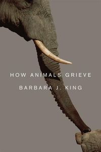 Produktbild: How Animals Grieve