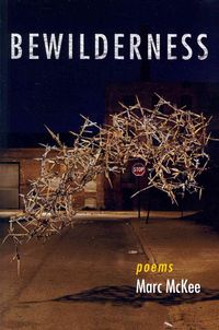 Produktbild: Bewilderness