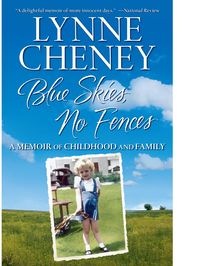 Produktbild: Blue Skies, No Fences