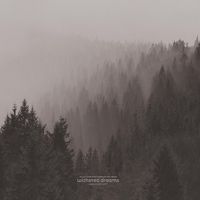 Produktbild: Withered Dreams: Singles 2013-2017