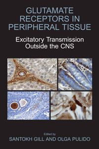 Produktbild: Glutamate Receptors in Peripheral Tissue