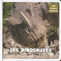 Produktbild: Les dinosaures