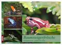 Produktbild: Baumsteigerfr&ouml;sche. Pfeilgiftfr&ouml;sche - gef&auml;hrlich sch&ouml;n (Wandkalender 2026 DIN A2 quer), CALVENDO Monatskalender