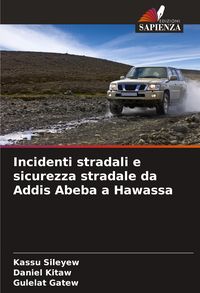 Produktbild: Incidenti stradali e sicurezza stradale da Addis Abeba a Hawassa