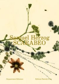 Produktbild: Scarabeo (EN)