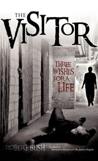 Produktbild: The Visitor