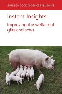 Produktbild: Instant Insights