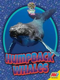Produktbild: Humpback Whales