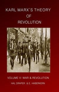 Produktbild: Karl Marx's Theory of Revolution Vol V