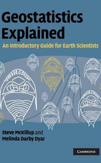 Produktbild: Geostatistics Explained