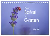 Produktbild: Eine Safari im Garten (Tischkalender 2026 DIN A5 quer), CALVENDO Monatskalender