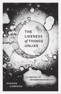 Produktbild: The Likeness of Things Unlike