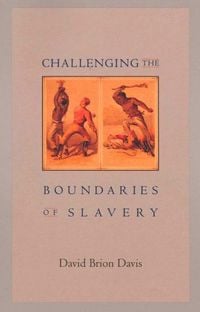 Produktbild: Challenging the Boundaries of Slavery