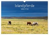 Produktbild: Islandpferde take it Isi (Wandkalender 2026 DIN A3 quer), CALVENDO Monatskalender
