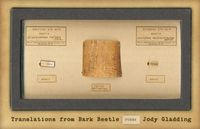 Produktbild: Translations from Bark Beetle: Poems