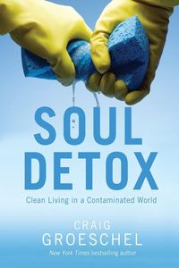 Produktbild: The Soul Detox