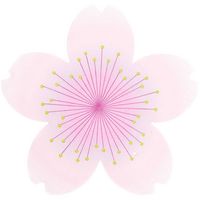 Produktbild: Serviette Kirschbl&uuml;te, MIX