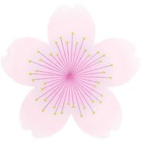 Produktbild: Serviette Kirschbl&uuml;te,