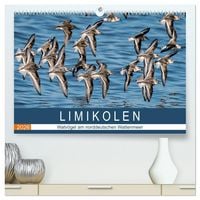 Produktbild: Limikolen - Watv&ouml;gel am norddeutschen Wattenmeer (hochwertiger Premium Wandkalender 2026 DIN A2 quer), Kunstdruck in Hochglanz