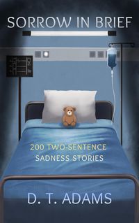 Produktbild: Sorrow in Brief (Two-Sentence Stories, #9)
