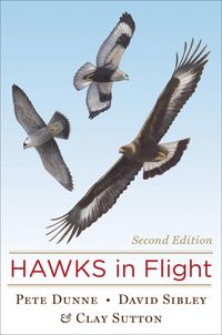 Produktbild: Hawks in Flight