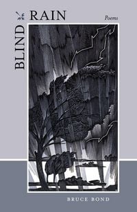 Produktbild: Blind Rain