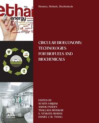 Produktbild: Biomass, Biofuels, Biochemicals