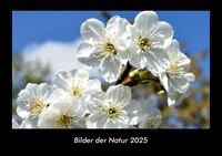 Produktbild: Bilder der Natur 2025 Fotokalender DIN A3