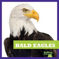 Produktbild: Bald Eagles