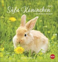 Bild vom Artikel Süße Kaninchen Postkartenkalender 2023. Tierfotografin Monika Wegler setzt in einem kleinen Kalender niedliche Häschen in Szene. Tischkalender im P vom Autor Monika Wegler
