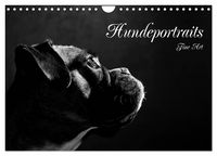 Produktbild: Hundeportraits Fine Art (Wandkalender 2026 DIN A4 quer), CALVENDO Monatskalender