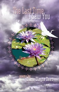 Produktbild: The Last Time I Saw You