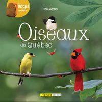 Produktbild: Oiseaux du Qu&eacute;bec
